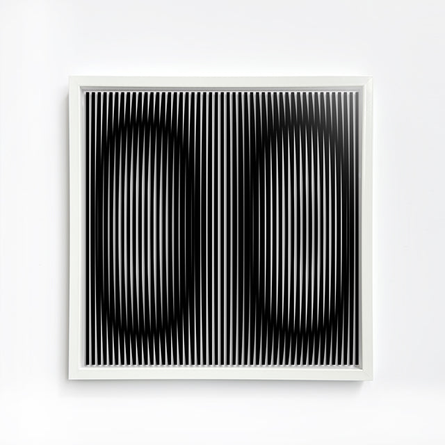 black and white handmade artwork, handmade screen printing, 30x30cm in aluminium frame.